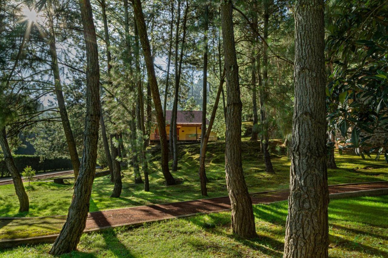 Hotel Bosque Escondido Mazamitla Zewnętrze zdjęcie